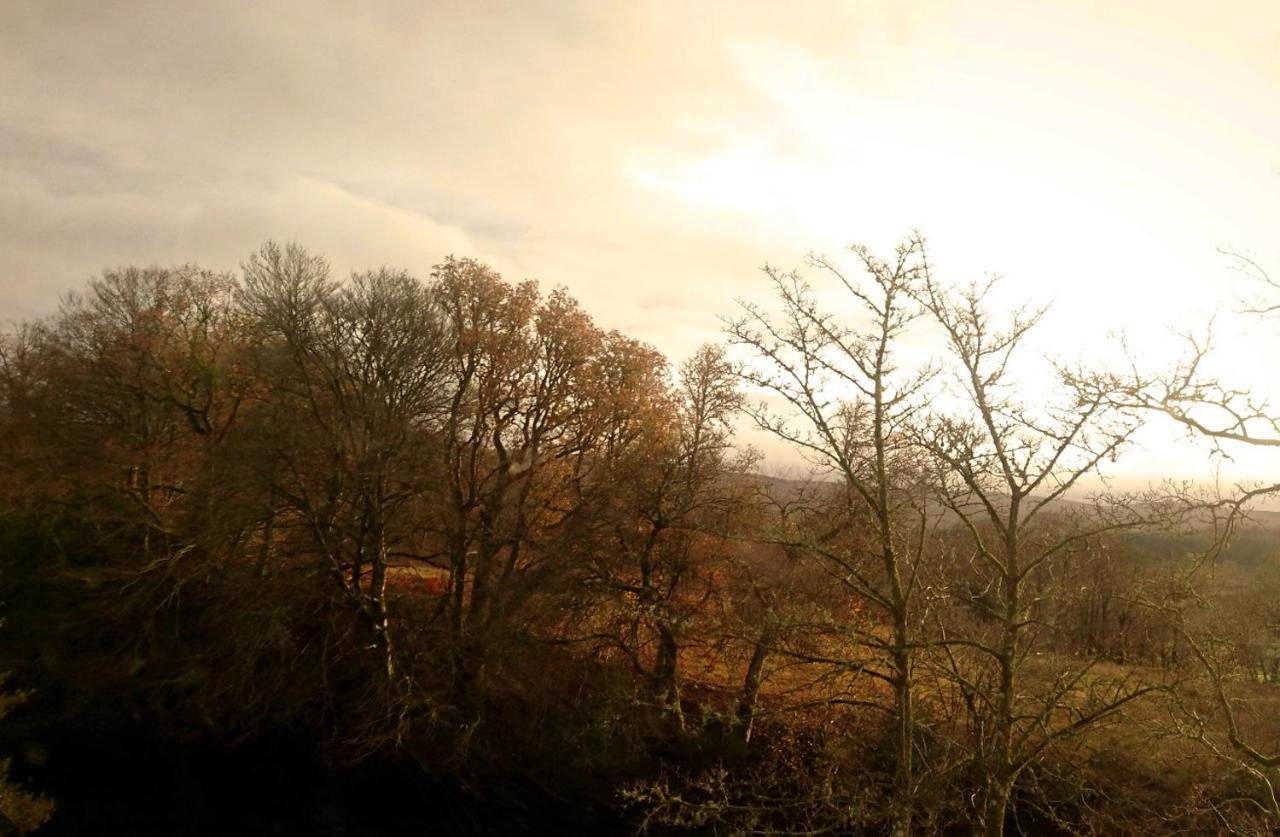 Orchy Bank House Bed & Breakfast ดัลมัลลีย์ ภายนอก รูปภาพ